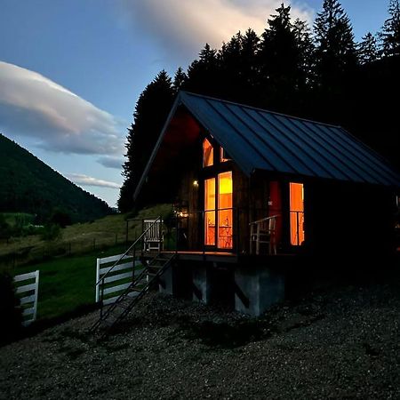 Vila Bramble Tiny House Zărneşti Exteriér fotografie