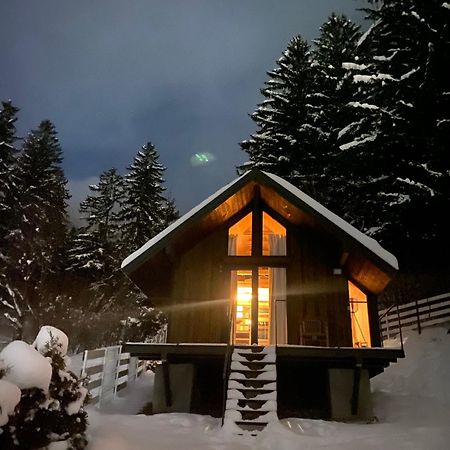 Vila Bramble Tiny House Zărneşti Exteriér fotografie